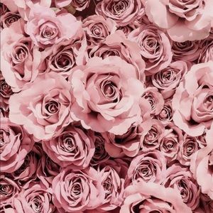 Meet your Posher, Kaya